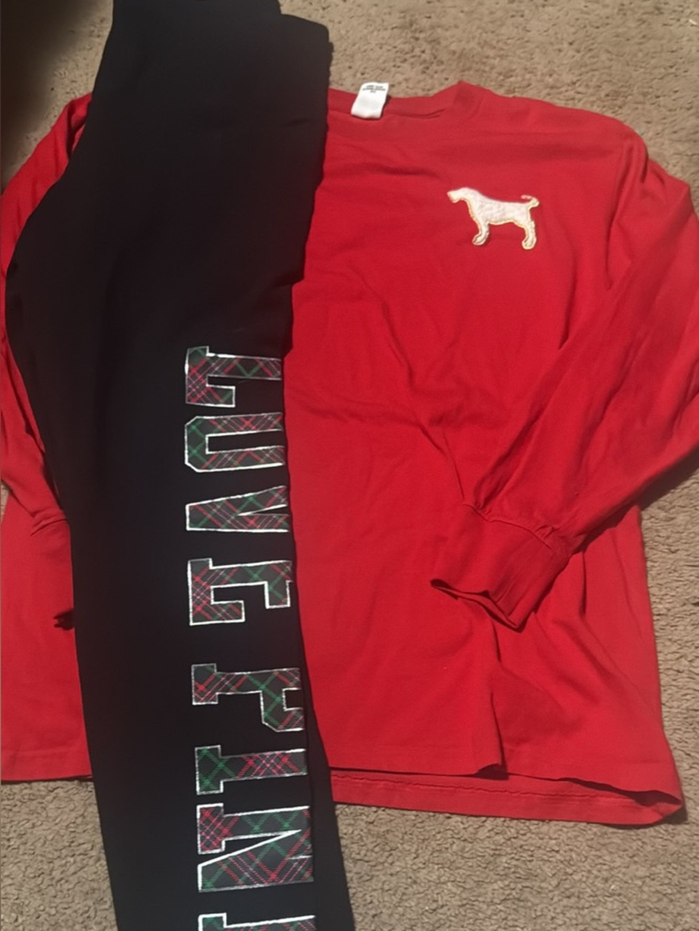 Red Long Sleeve Top with Embroidered Dog